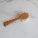 wooden-mushroom-brush